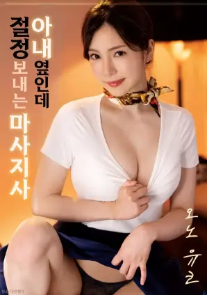 普罗旺斯的夏天